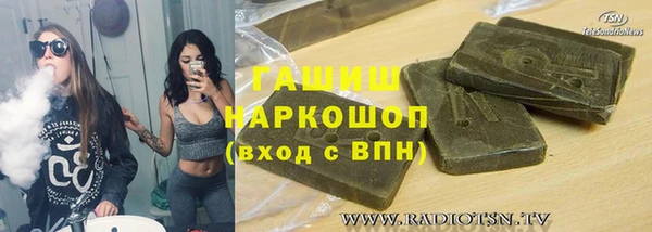 гидра Богородицк