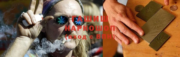 гидра Богородицк
