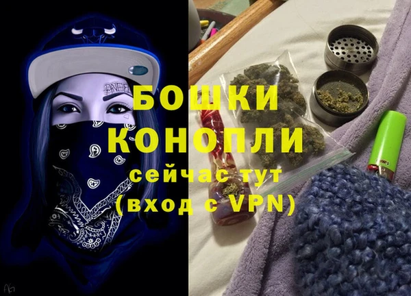 гидра Богородицк