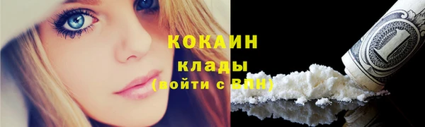 гидра Богородицк