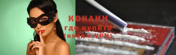 гидра Богородицк