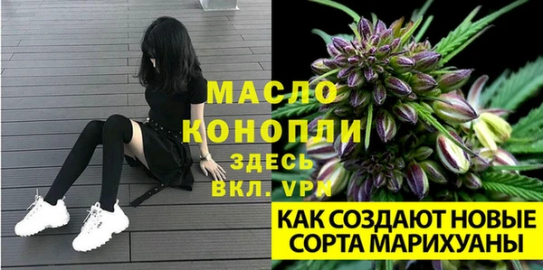 гидра Богородицк