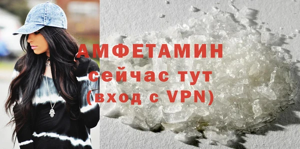 гидра Богородицк