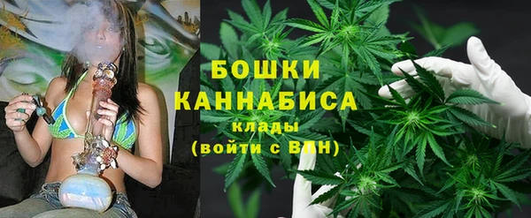 гидра Богородицк