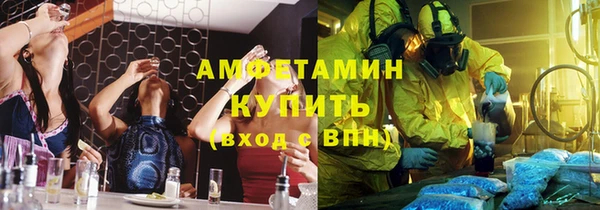 гидра Богородицк