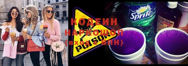 гидра Богородицк
