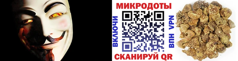 Псилоцибиновые грибы прущие грибы  где продают наркотики  Люберцы 